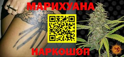 прущие грибы Ставрополь