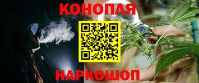 прущие грибы Ставрополь