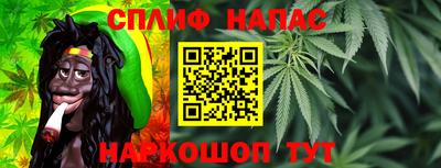 прущие грибы Ставрополь