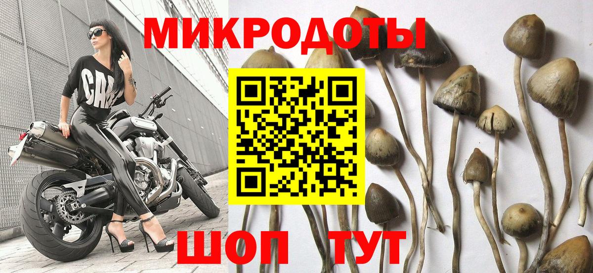 Псилоцибиновые грибы прущие грибы  Вход с VPN  Норильск  Псилоцибиновые грибы прущие грибы 